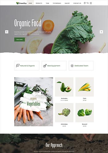 绿色农场有机水果蔬菜html模板